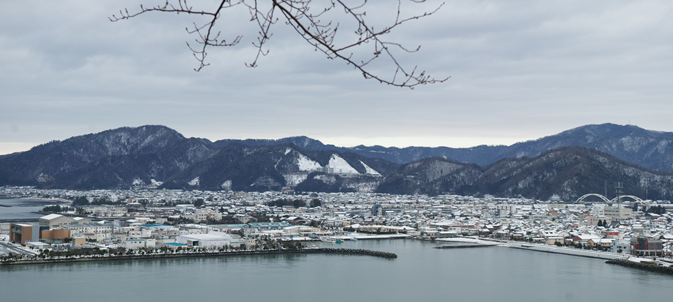 高台から眺めた小浜の風景